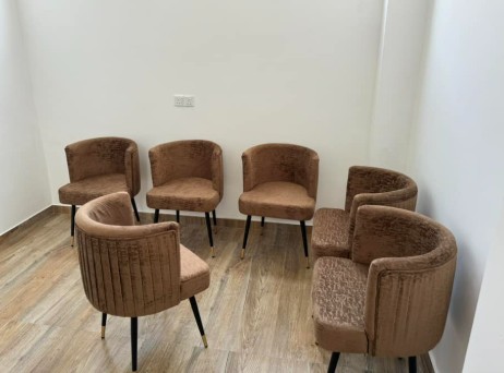 Modern dining chairs
